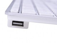 USB_Keyboard_USB-port